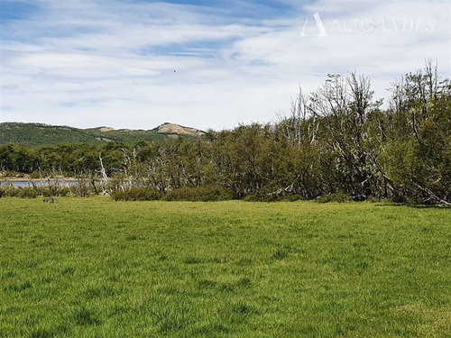 Imagen 4 de 30 de Sitio En Venta En Coihaique