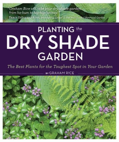 Planting The Dry Shade Garden The Best Plants For The Toughe