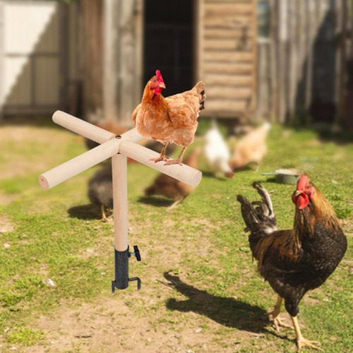 Juguete De Percha Para Pollo, Accesorios Para Gallinero,l