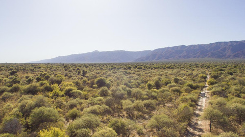 Venta De Campos En Chancani Traslasierra Cordoba