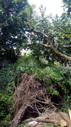 Terreno À Venda, 400 M² Por R$ 450.000 - Jardim Santo Alberto - Santo André/sp - Te0979