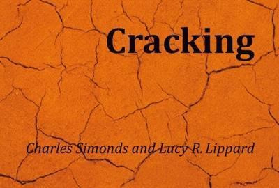 Libro Charles Simonds : Cracking - Charles Simonds