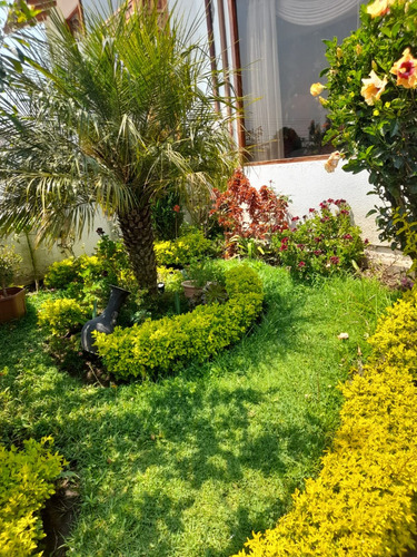 Vendo Hermosa Y Amplia Casa. Sector San José Del Valle. Frente A Supermercado Santa María
