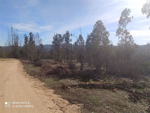 Parcela En Venta En Pumanque