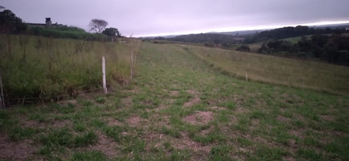 Imagem 8 de 15 de 11o- Terrenos Em Cotia-sp