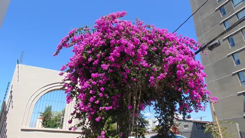 En Venta Hermoso Departamento Nuevo Tipo Estudio En Ñuñoa