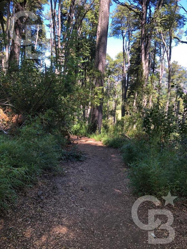 Imagen 3 de 6 de Terreno - Lago Moreno - San Carlos De Bariloche
