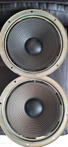 Bajos Pioneer Modelo 500v 12 (Usado)