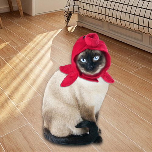 Perro Gato Sombrero Sombrero Divertido Cálido Para Pulpo