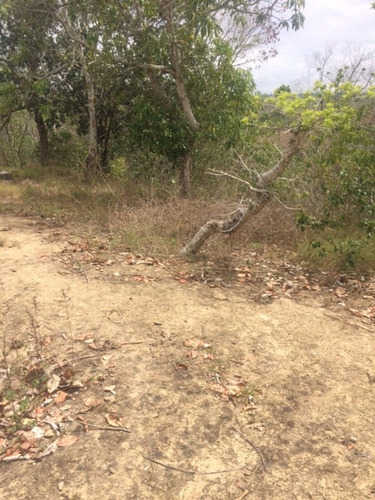 Imagem 15 de 18 de Ótimo Sítio 14 Hec, Não Tem Benfeitoria, Estrada De Aldeia Km 33 Em Paudalho Aceito Carro - St00007