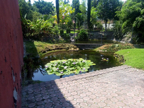 Imagen 7 de 21 de Vendo Hermosa Casa Con Arroyo Natural De Agua Cuautla Mor