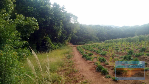 Imagem 14 de 23 de Terreno À Venda - Vila Nova - Porto Alegre/rs - Te0153