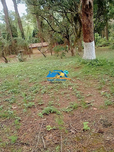 Imagem 5 de 15 de Chácara Em Mairiporã - 1102