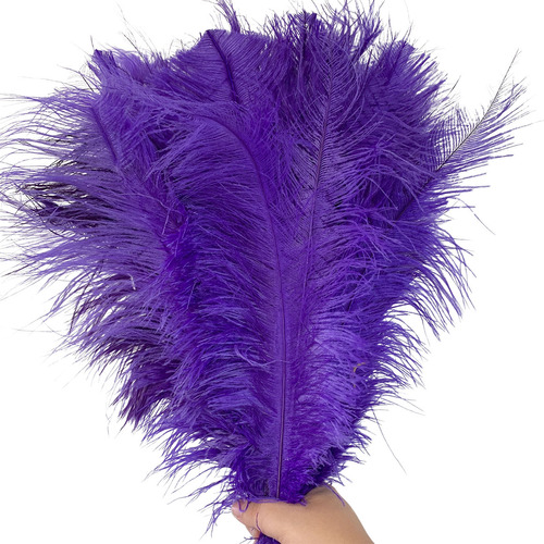 Plumas De Avestruz Tipo Palito Ideal P/ Trajes Carnaval 100g Cor Roxo