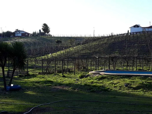 Parcela En Venta Bosque Santa Cecilia (95282)