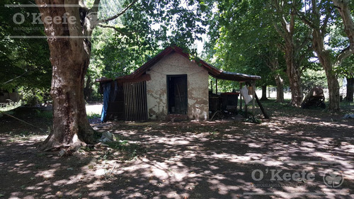 Imagen 7 de 15 de Punta Indio 100 Has Campo En Venta - Ideal Feed Lot - Oportunidad