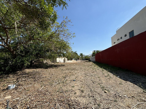 Terreno En Venta