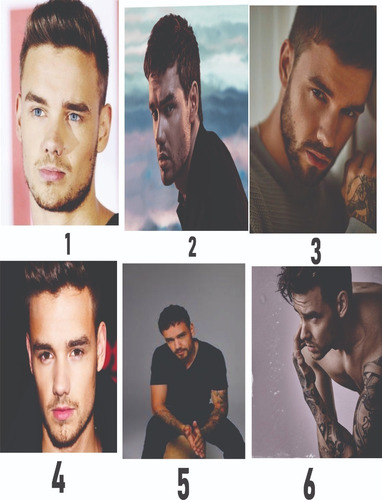 Cojin De Tu Artista Favorito Liam Payne