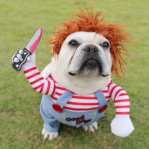 Disfraz De Chucky  Para Mascotas Importado