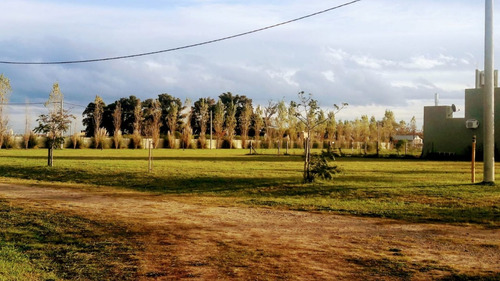Imagen 4 de 5 de Importante Terreno,las Casuarinas-ibarluce