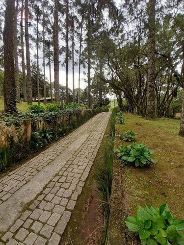 Chácara Com 3 Dormitórios À Venda, 168000 M² Por R$ 12.000.000,00 - Itaqui De Cima - Campo Largo/pr - Ch0015
