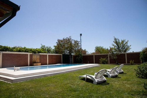 Imagen 6 de 17 de Divina Quinta En San Rafael -viña, Ciruelos Y Chalet- 10has