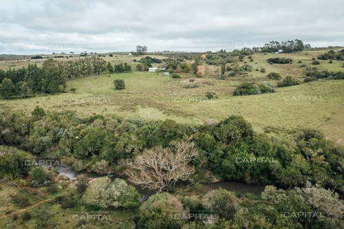 Imagen 7 de 15 de Chacra En Venta En Las Cañas - Zona Rural Las Cañas