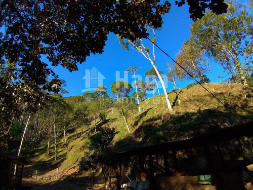 Chácara À Venda Em Guabiruba/sc - 1518c