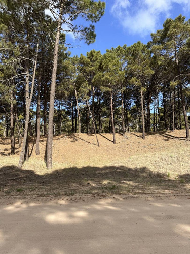 Lote En Barrio Pioneros En Venta - Oportunidad - Permuta - Pinamar - Costa Atlantica