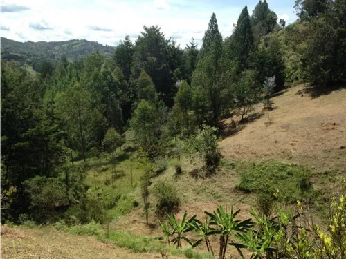 Lote En Venta En Envigado