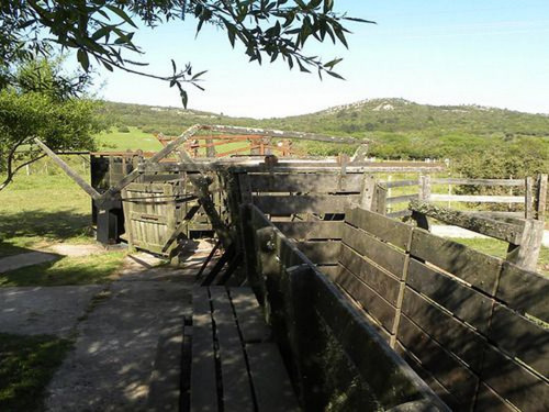Campo En Venta En Maldonado Ref. 1667