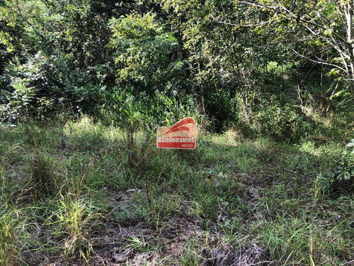 Chácara À Venda, Fazendinhas Amaro - Lagoa Santa/mg - 1393