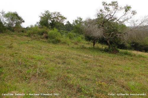Imagem 15 de 15 de Sítio / Chácara Para Venda Em Mariana Pimentel, Linha Preta - Mariana Pimentel - 1256_1-542909