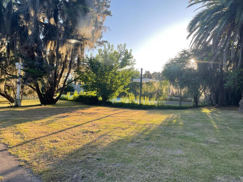 Imagen 13 de 23 de Terreno Ideal Desarrollo Inmobiliario En El Corazón De Funes