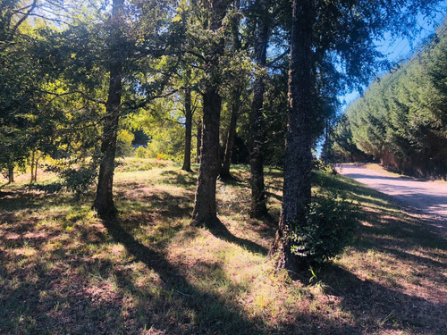 Condominio Las Lomas De Villarrica