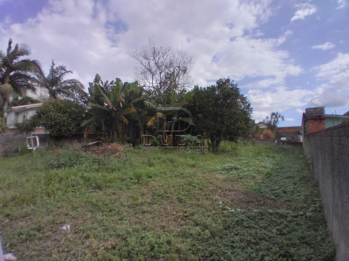 Imagem 3 de 4 de Terreno - Mina Do Mato - Ref: 33762 - V-33759