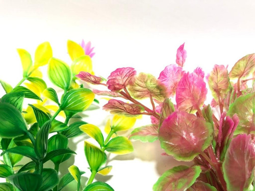 Imagem 3 de 5 de Kit Planta Plástica Aquário 10cm Betta Collor B - 03un.