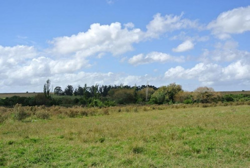Campo En Venta