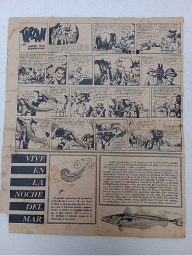 Billiken Antigua Hoja Con El Comlc De Tarzán Semanal Año1953