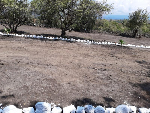 Imagen 3 de 10 de Terreno En Venta San Juan Texcalpan