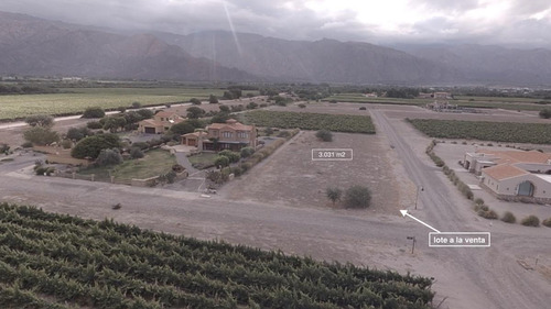Terreno - Cafayate