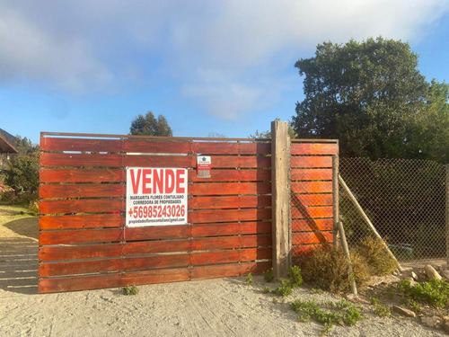 Fundo Loreto, Valle De Elqui, Región De Coquimbo