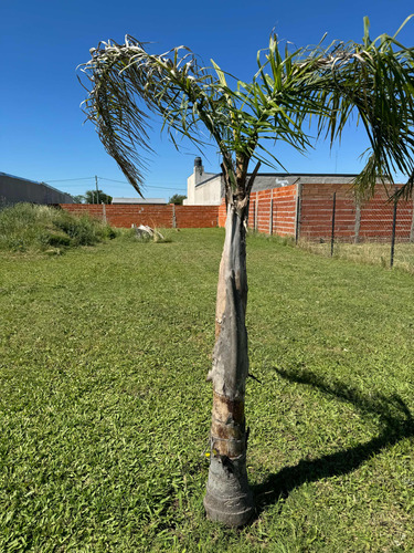Lote En Venta En Lima-zárate