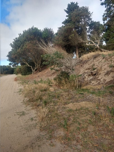 Imagen 8 de 15 de Terreno En Venta En Las Gaviotas