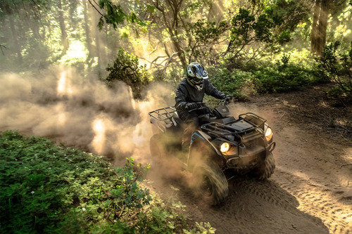 Imagen 17 de 25 de Kawasaki Brute Force 300 2022