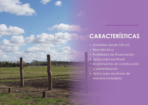Imagen 12 de 20 de Lotes Terrenos En Venta En Barrios Cerrados Zona Oeste Sobre Nueva Autopista