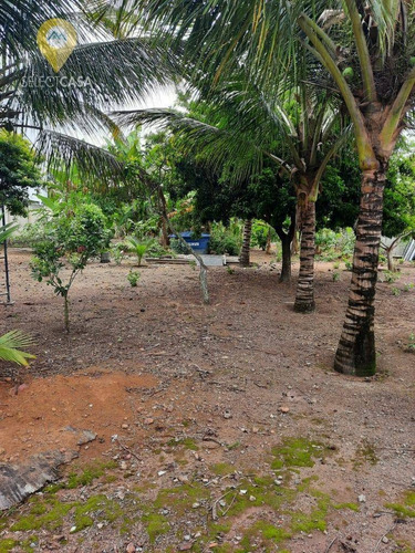 Imagem 5 de 8 de Terreno Em Jacaraípe - Te0136