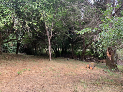 Parcela De 7.500 Mt2 En Sector Puninque