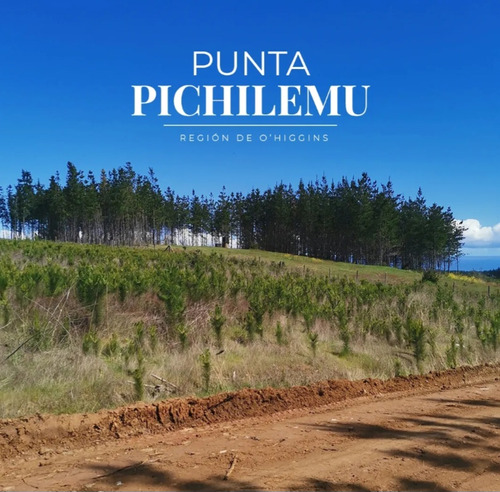 Parcelas Pichilemu 