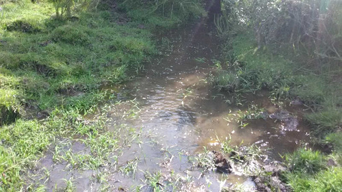 72 Hectáreas En Cuchilla Juan Gomez